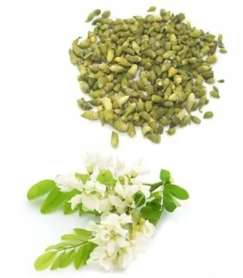 Natural Sophora Japonica Extract manufacture