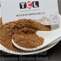 짐네마 실베스트레 추출물 분말